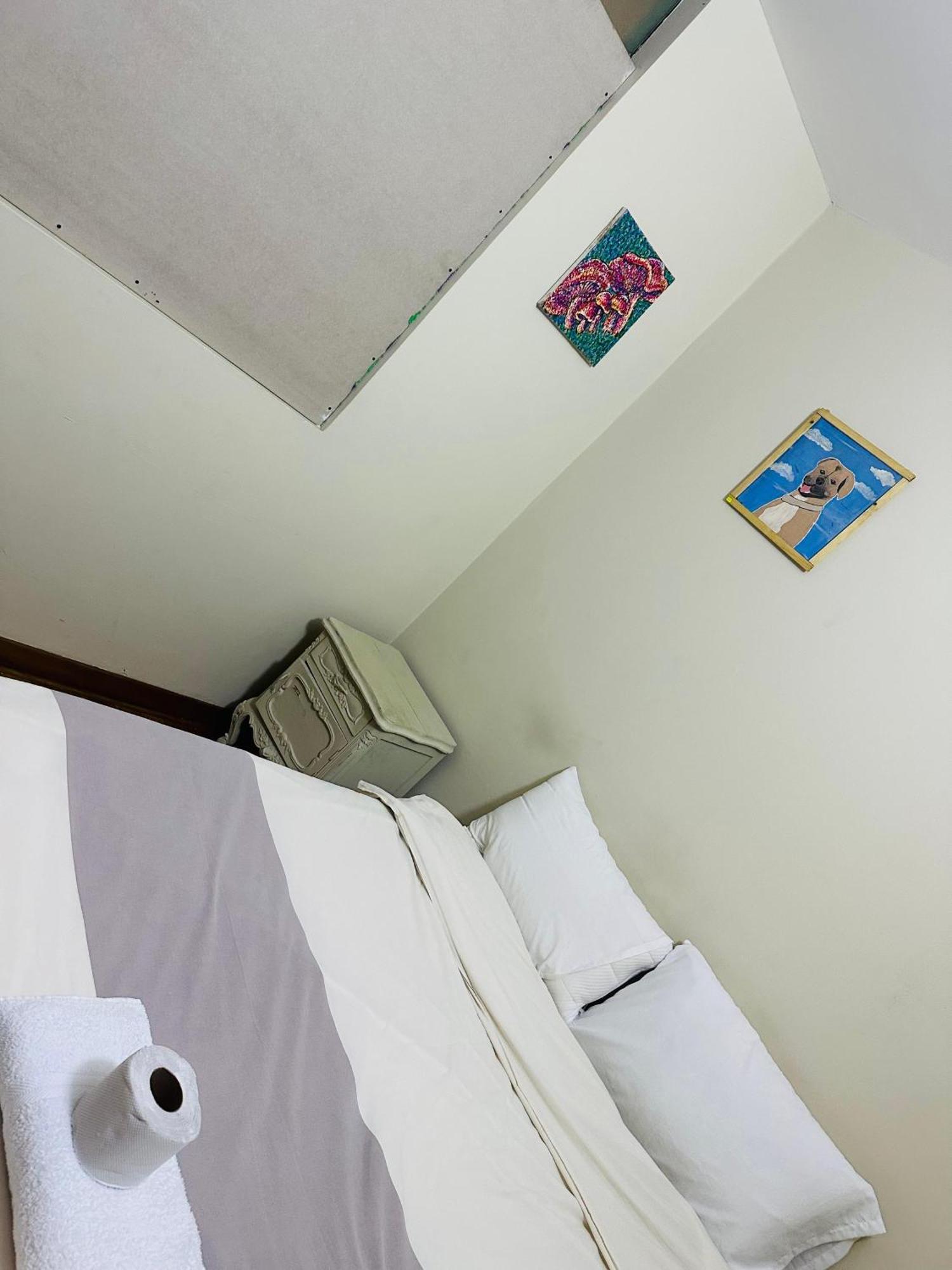 Hostel Colores Miraflores Lima Eksteriør billede